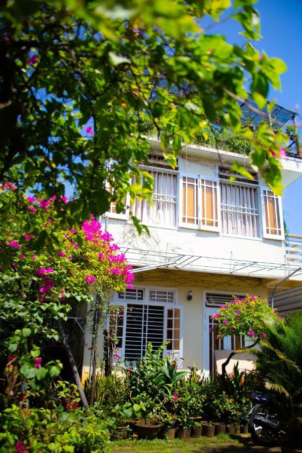 Skybird Homestay Hội An Ngoại thất bức ảnh