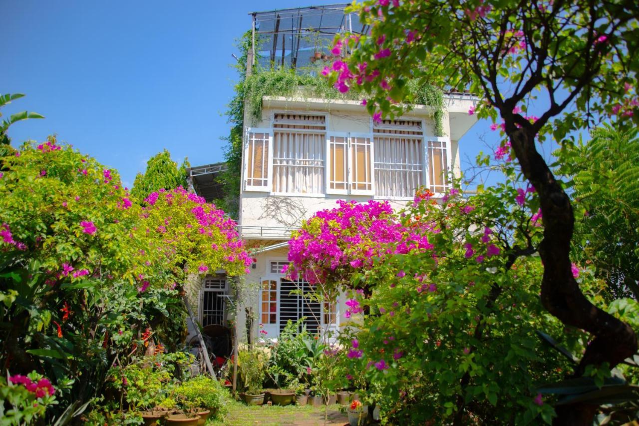 Skybird Homestay Hội An Ngoại thất bức ảnh