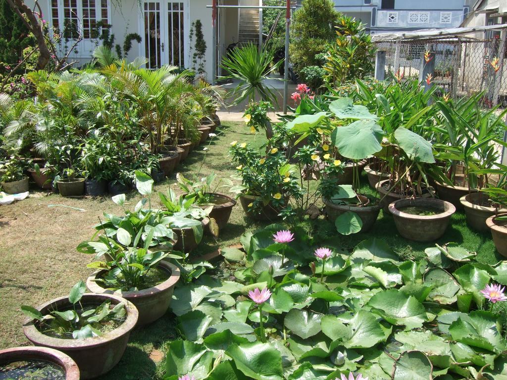 Skybird Homestay Hội An Ngoại thất bức ảnh